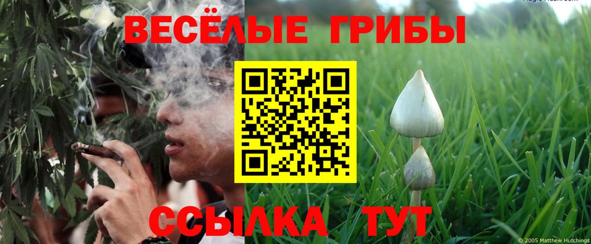 Псилоцибиновые грибы ЛСД Таганрог