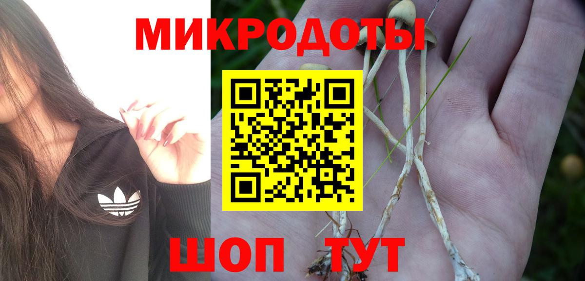Таганрог  Псилоцибиновые грибы мухоморы  Вход с VPN 