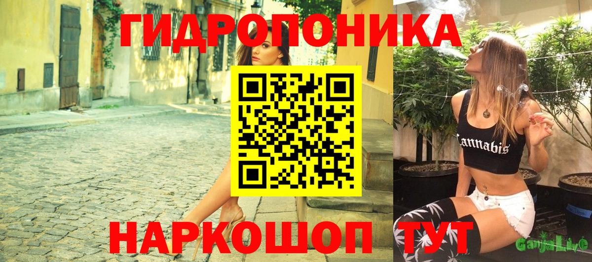 Бошки Шишки семена Таганрог